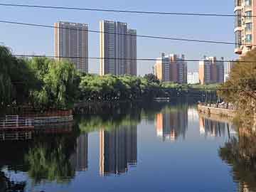 上海景德镇瓷器市场地址，探寻古老瓷都的繁华商贸之旅